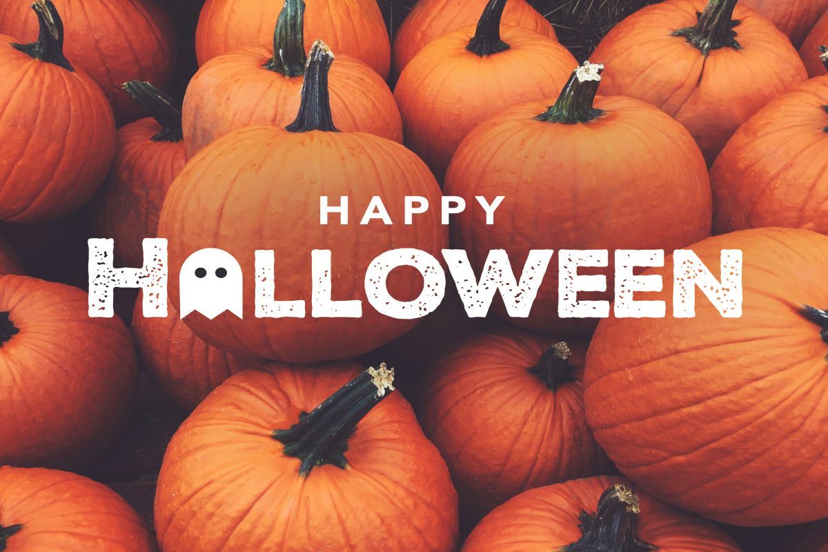 Halloween 2019 wishes, Images, quotes, messages to share with your friends