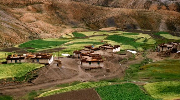 Grain to Glass, Shimla, Himachal Pradesh, Poland, Kangra, Whisky, Neilson Europe, Lahaul Spiti, Gaurav Rajput, Scotland, Himachal