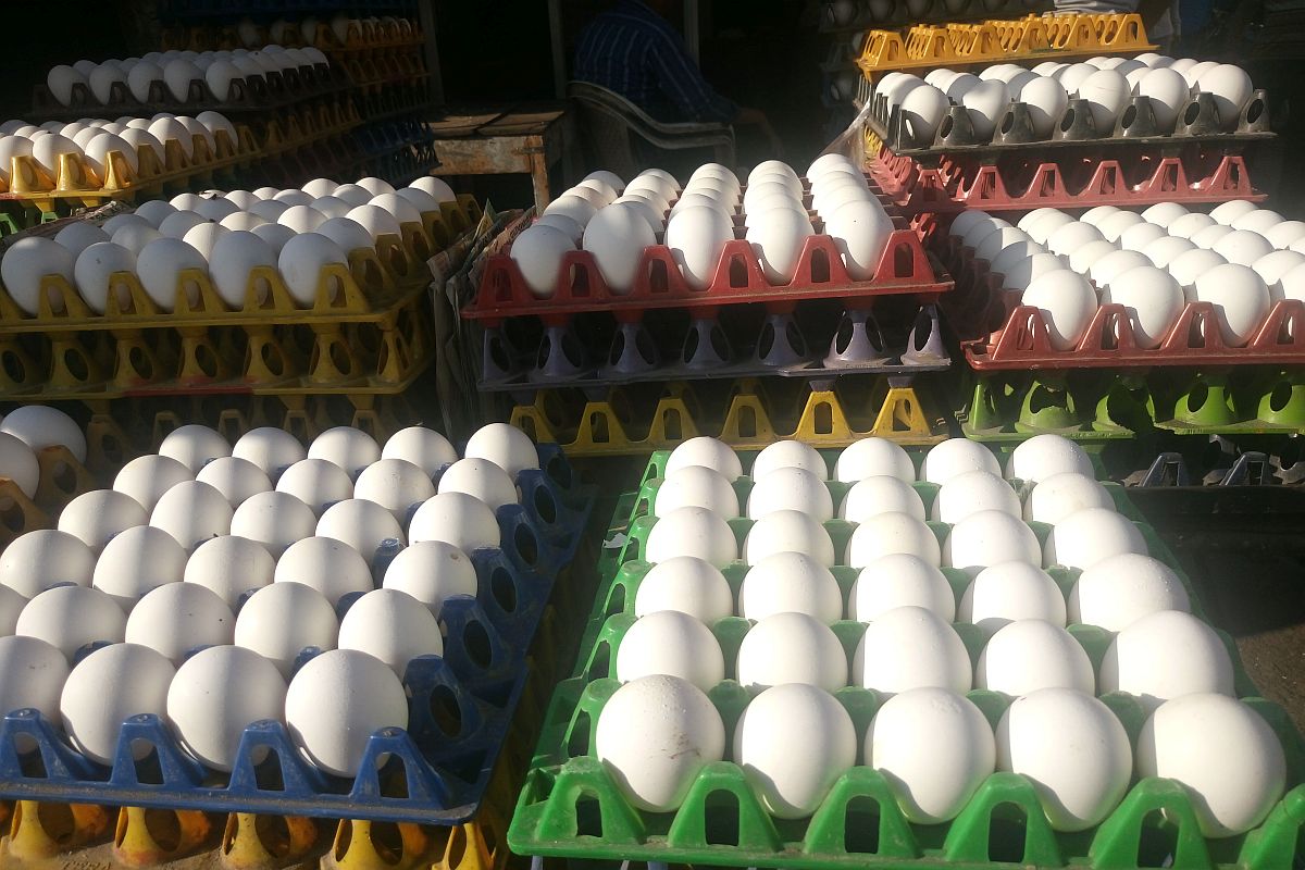 UP man eats 41 eggs to settle bet with friend, dies: Police