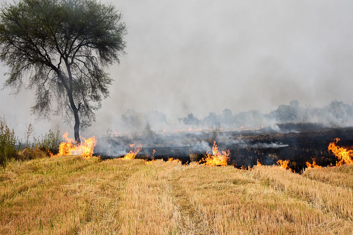 Five farmers booked in Uttar Pradesh for stubble burning