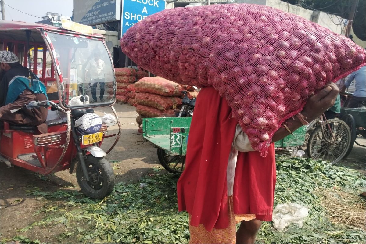 Vijay Goel, Meenakshi Lekhi protest against Kejriwal government for onion price hike
