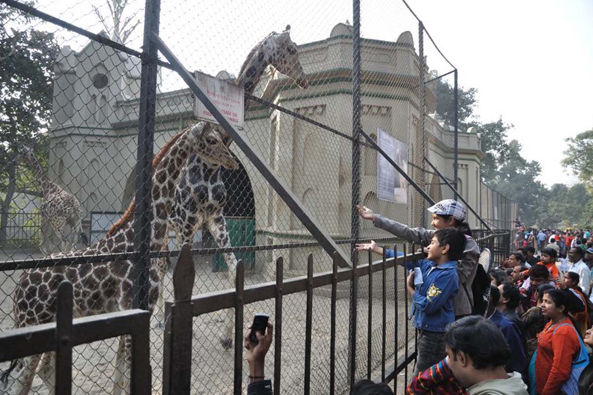 Alipore Zoo to put up Braille boards for visually impaired visitors