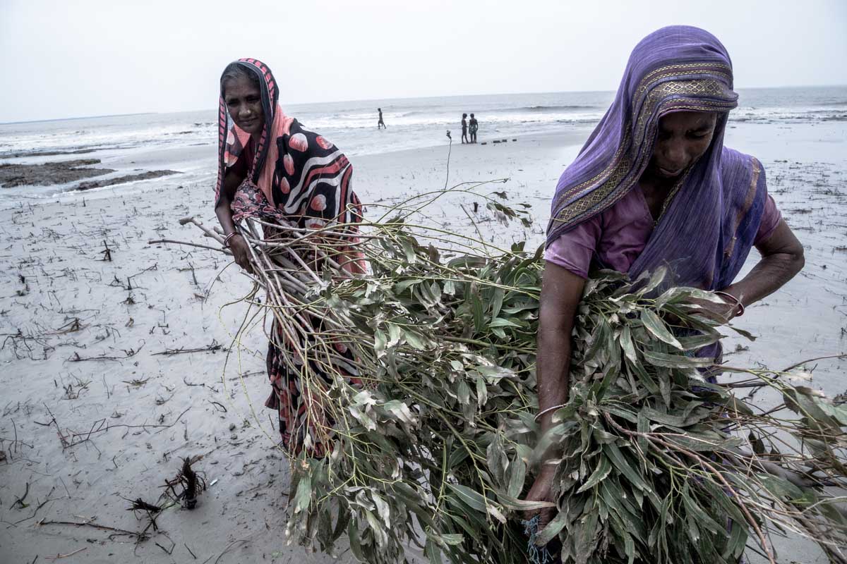 Forest minister to visit Sunderbans