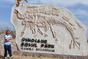 HP geologist proposes new theory on Dinosaur extinction in India