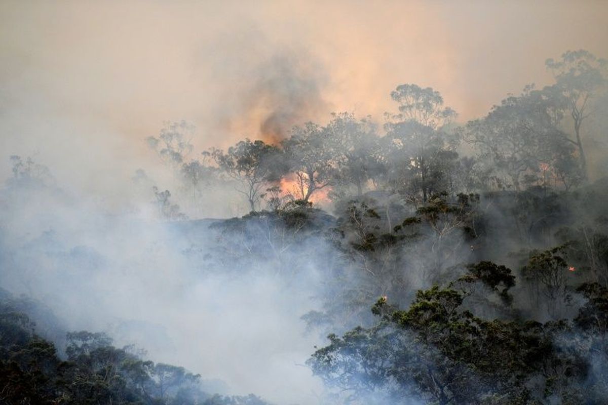 Thousands take to street to protests in Australia as bushfire haze sparks health concerns