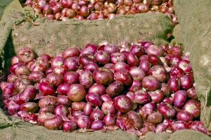 Onions looted from Sufol Bangla stall in Bolpur