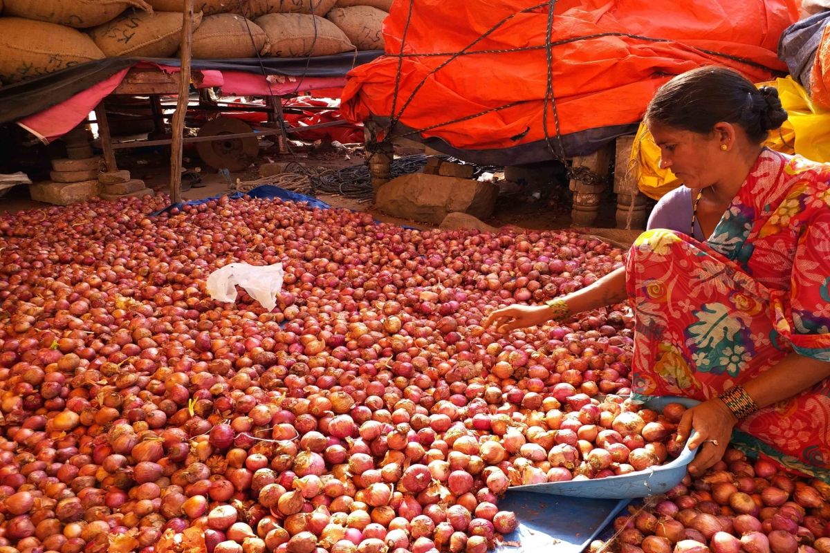 Onions in Delhi expected to witness dip in price after arrivals from overseas