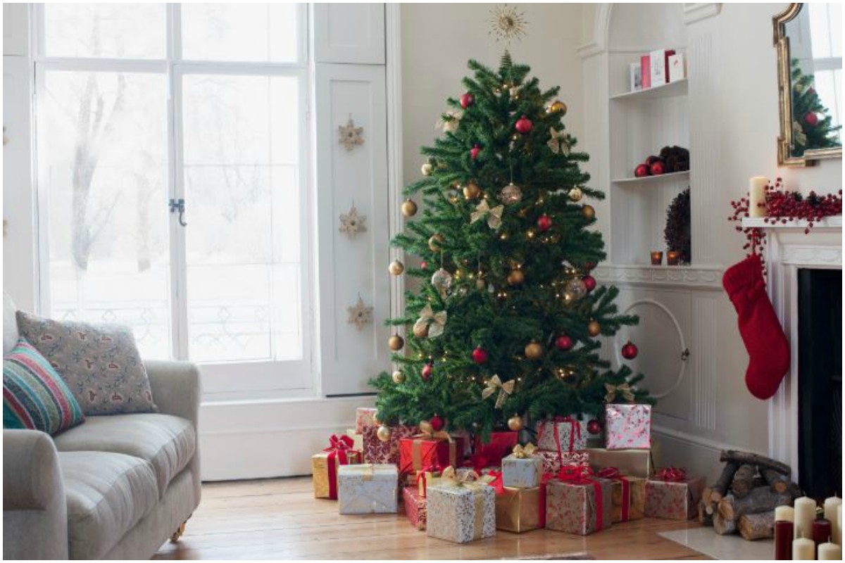 Christmas 2019 , Mistletoe, Christmas tree, Vhristmas decor, Christmas Tree