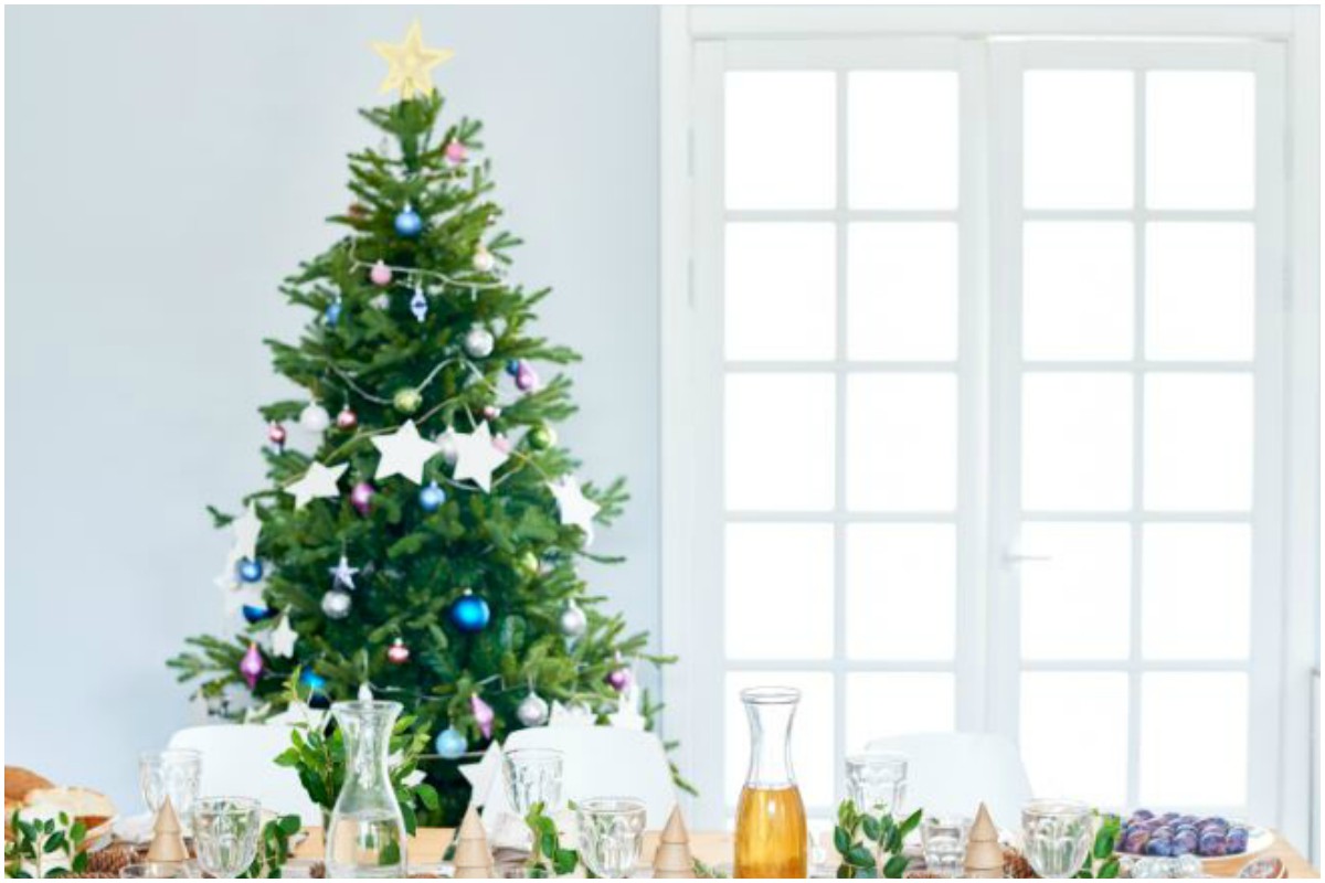 Christmas, Christmas tree, Christmas decoration, Merry Christmas