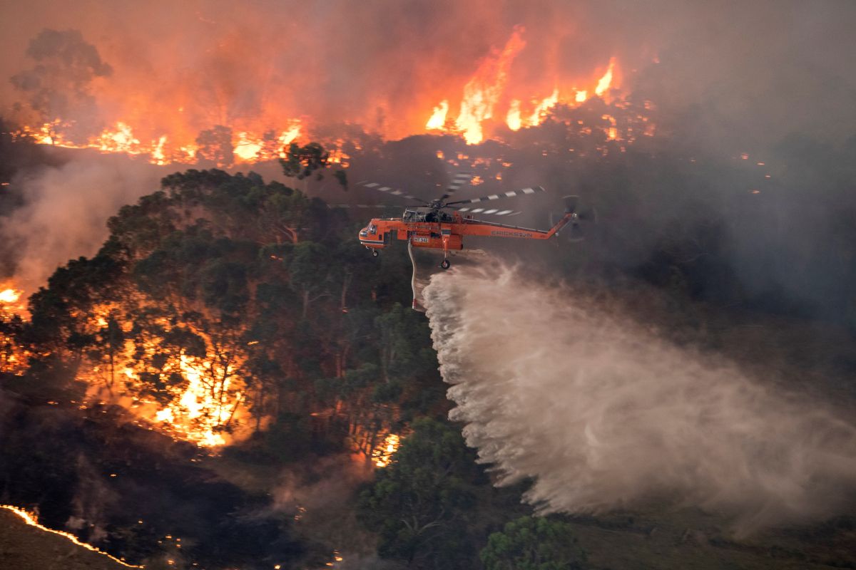 Yuvraj Singh, David Warner raise concern over rampant Australian bushfire