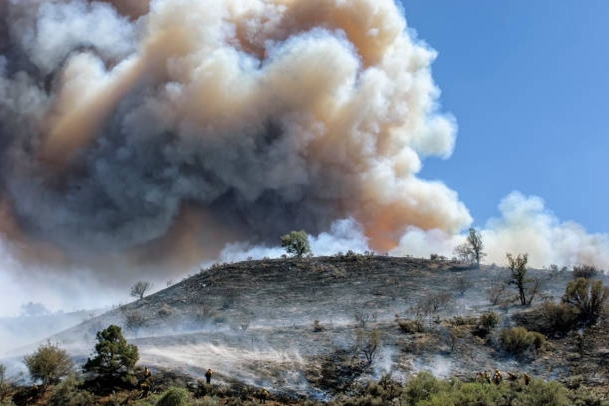 Australia assesses damage as bushfires claim another life