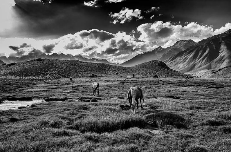 Light and Lines in the Middle Land, Photography exhibition, Qatar Museums, Travelling
