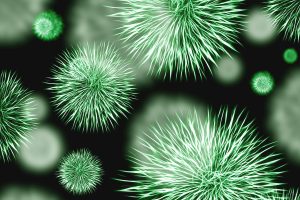 Indoor dust bacteria have transferable antibiotic resistance genes: Study