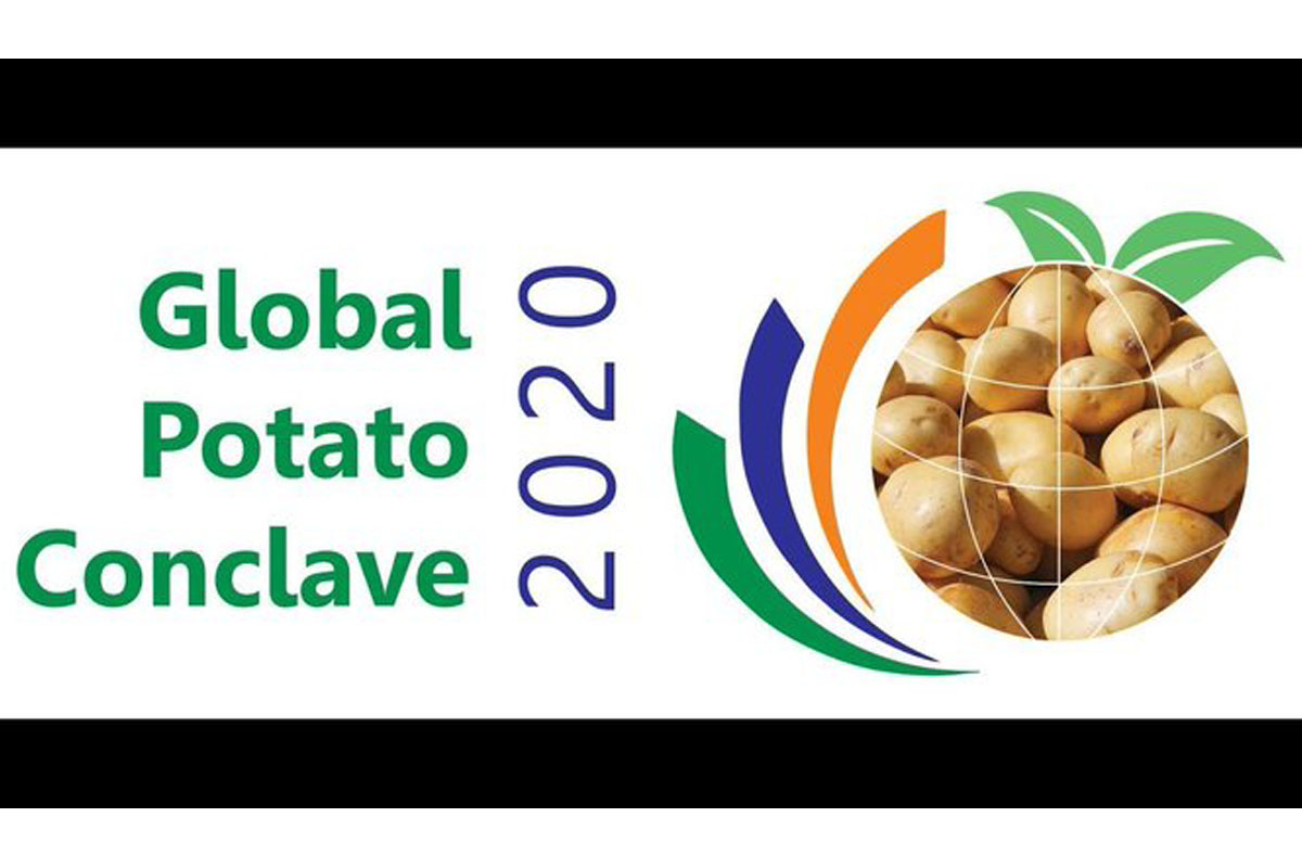 PM to open potato conclave in Gujarat on Tuesday