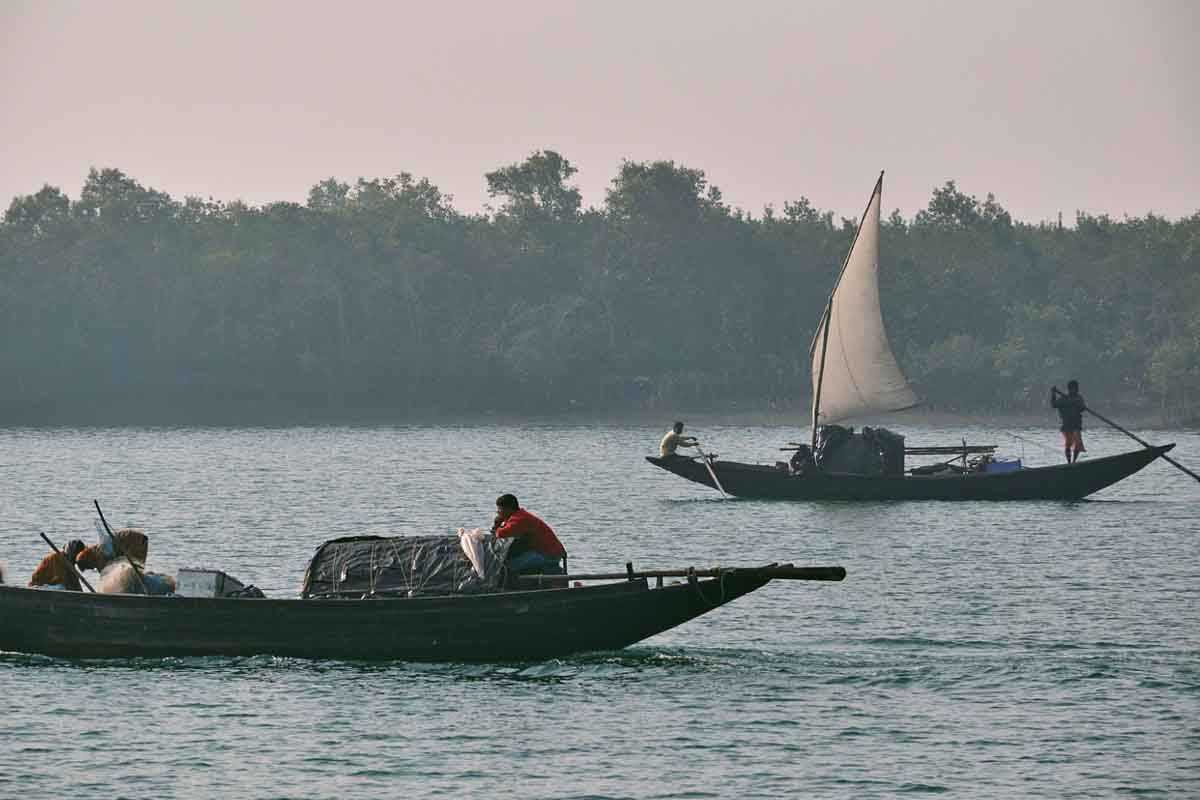 A way to protect the Sunderbans