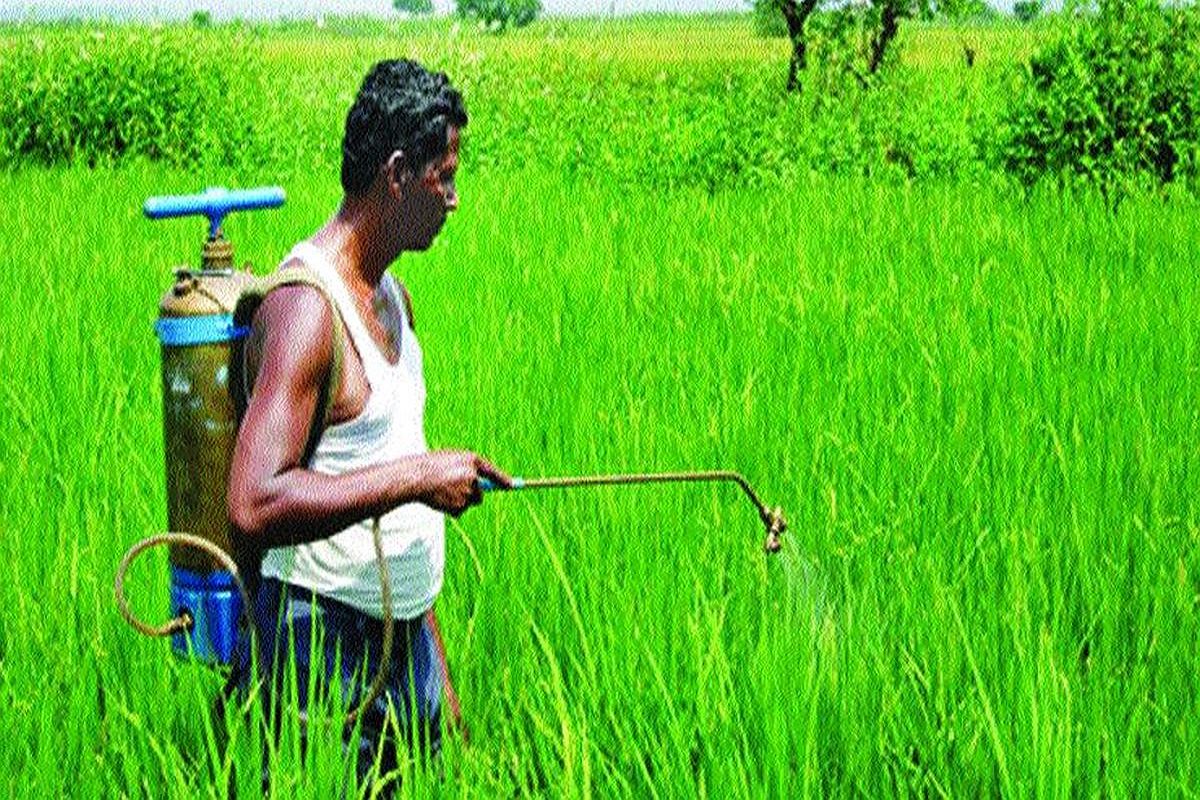 8 states finalise action plan for agri export policy: Govt