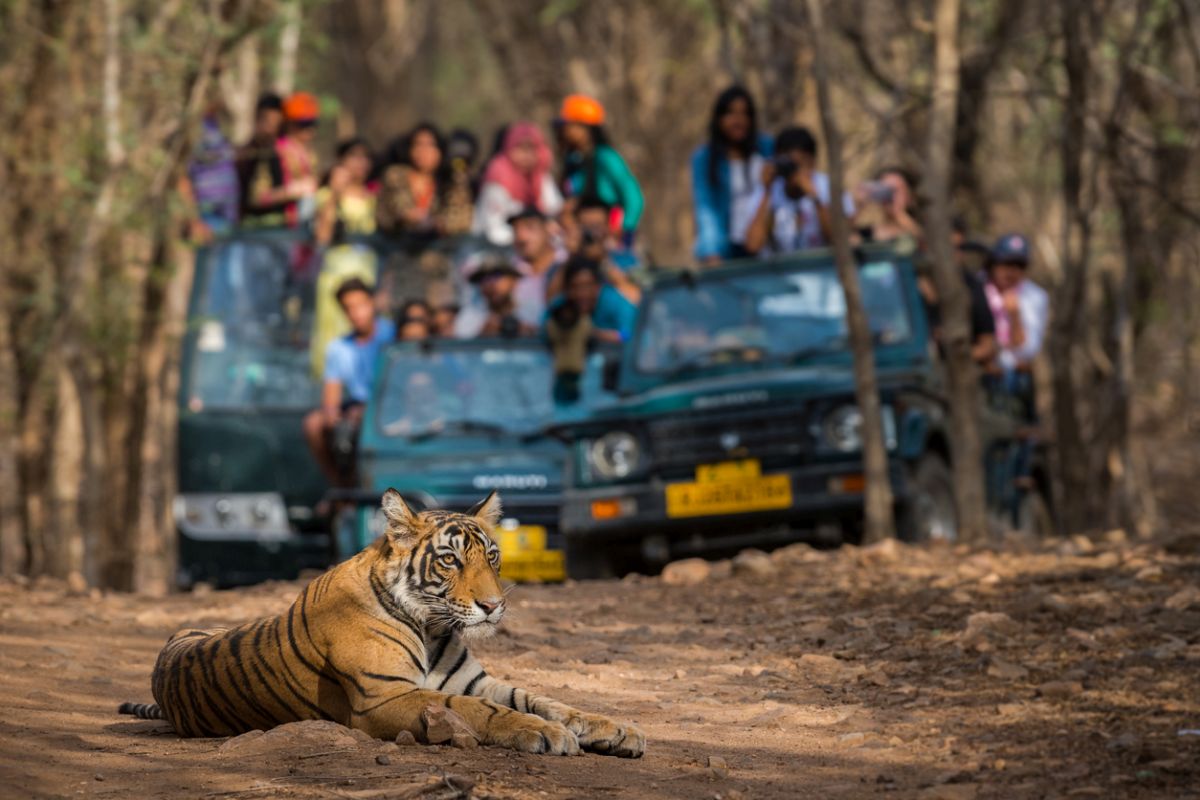 Economic slowdown hits Bengal Safari footfall