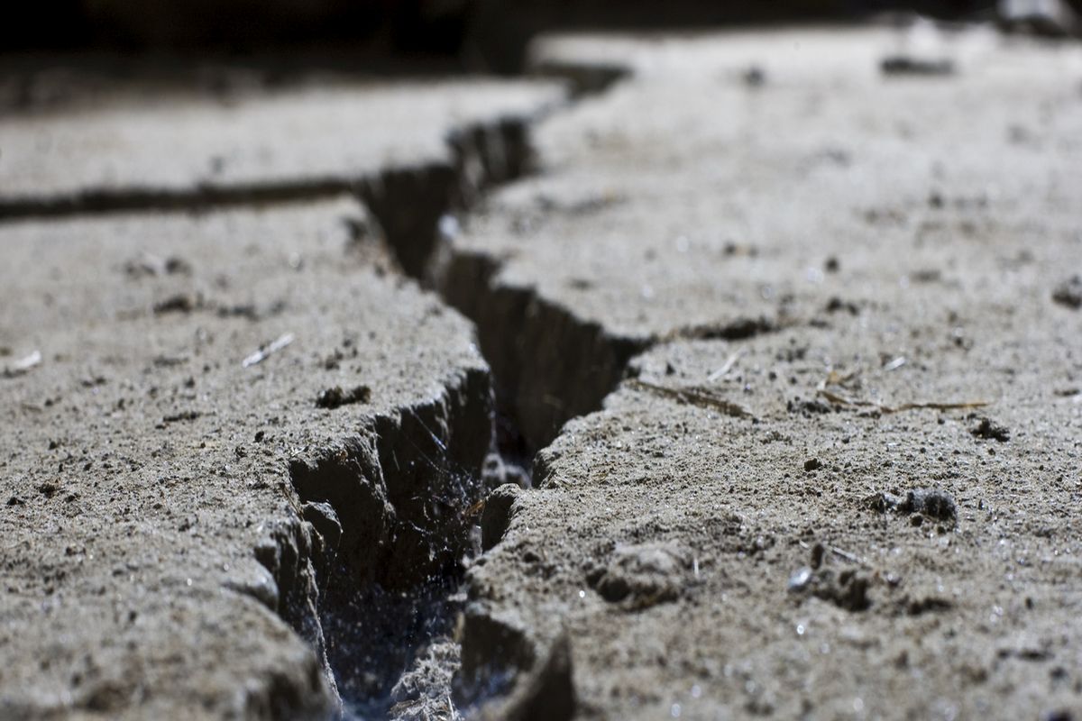 3.4 magnitude earthquake hits Himachal Pradesh’s Kangra, no casualty reported