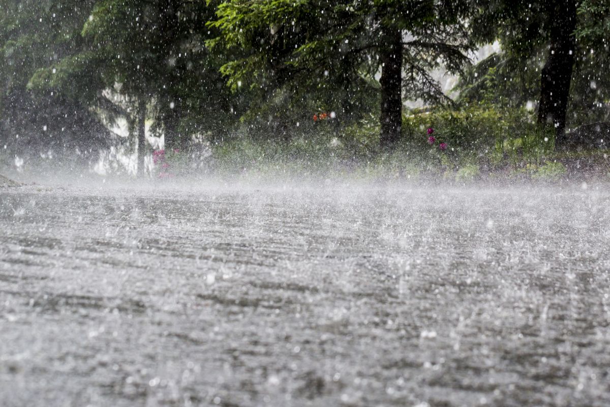 Heavy rain forecast for parts of Andhra until Tuesday