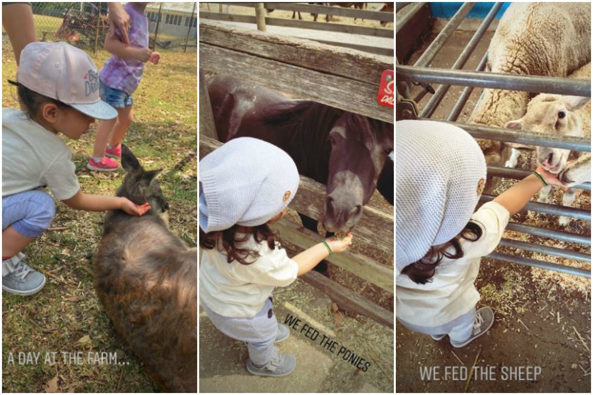 Soha-Kunal’s daughter Inaaya feeds ponies, goats at farm