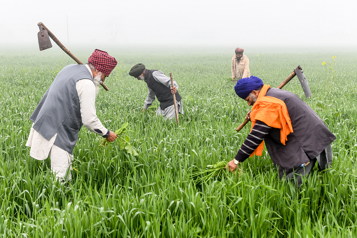 “Will encourage states to adopt 3 central model laws on agri land leasing, contract farming”: FM