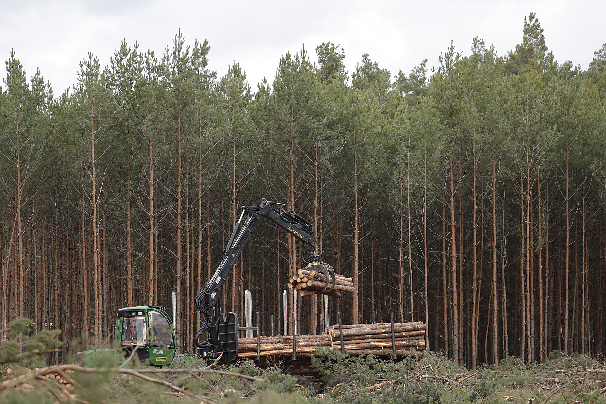 Tesla wins court approval to clear forest and build Gigafactory in Germany