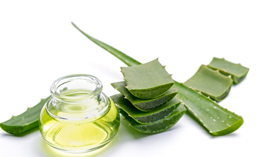Tired of stretch marks? Start using this medicinal plant and get rid of them