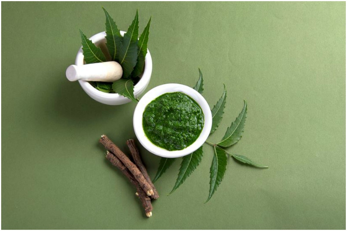 Mint leaves, Cilantro, Holy basil, Neem leaves, Curry leaves, Health benefits
