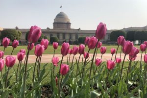 Mughal Gardens at Rashtrapati Bhavan to remain shut for next two days ahead of Trump’s visit