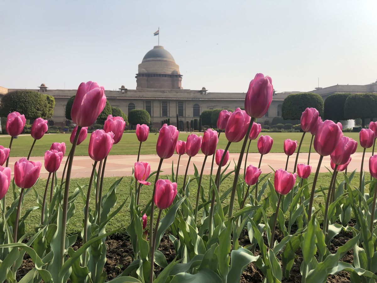 Mughal Gardens at Rashtrapati Bhavan to remain shut for next two days ahead of Trump’s visit