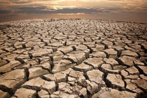 Drought: The new global calamity?