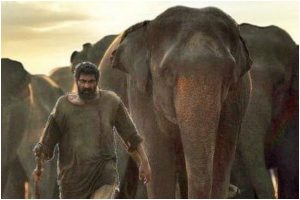 ‘Haathi Mere Saathi’, ‘D Company’ postponed due to Covid