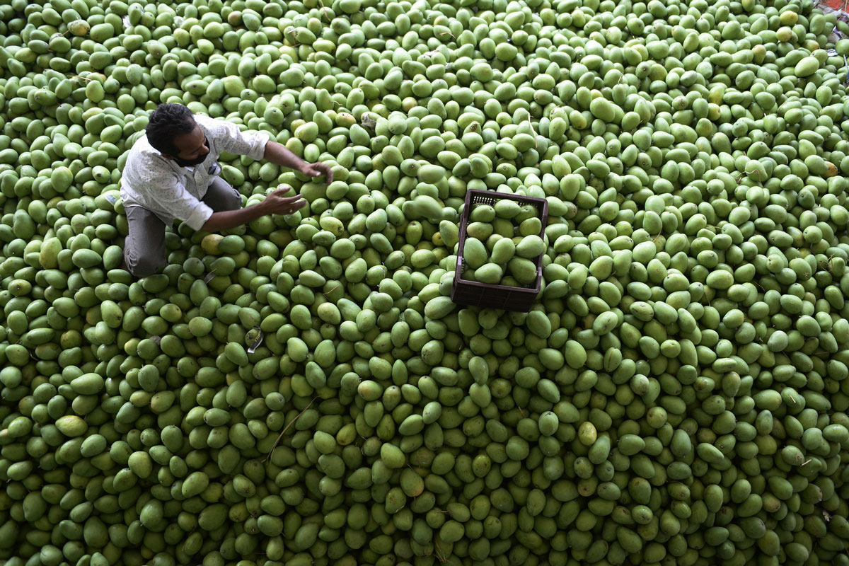 COVID-19 hits demand, pushes March wholesale price inflation to 1%
