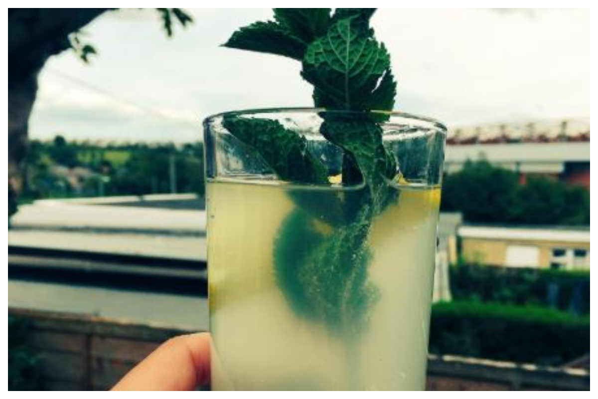 Stay cool with chilled minty summer beverage – Lemon-Mint Love