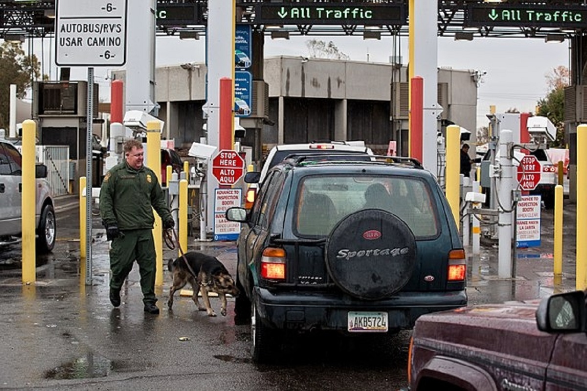 can you cross the mexican border with a dog