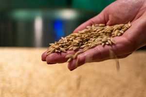 India, Pakistan close to deal on transporting wheat to Afghanistan