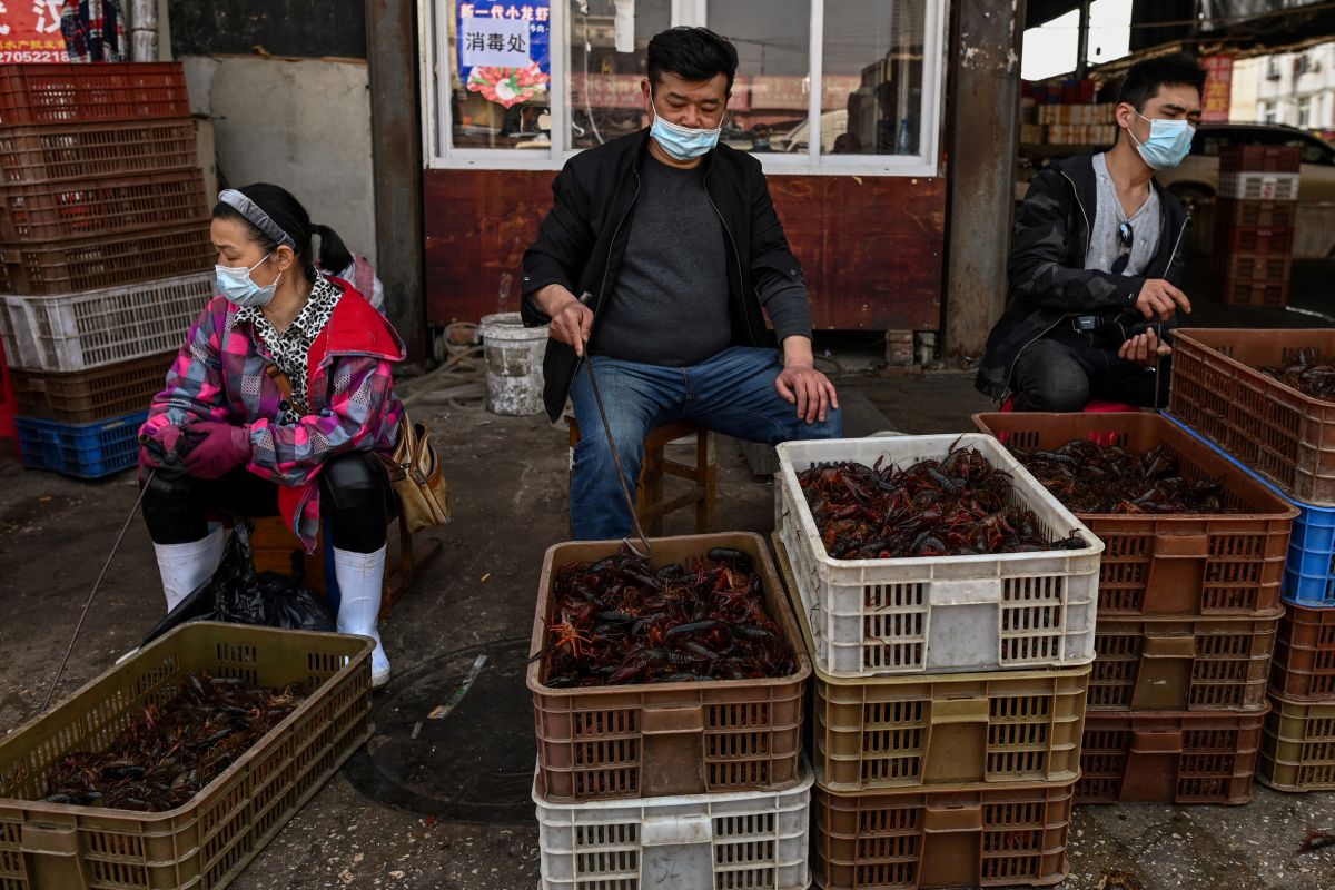 ‘We’re doomed this year’, China’s wet markets struggle to survive amidst pandemic