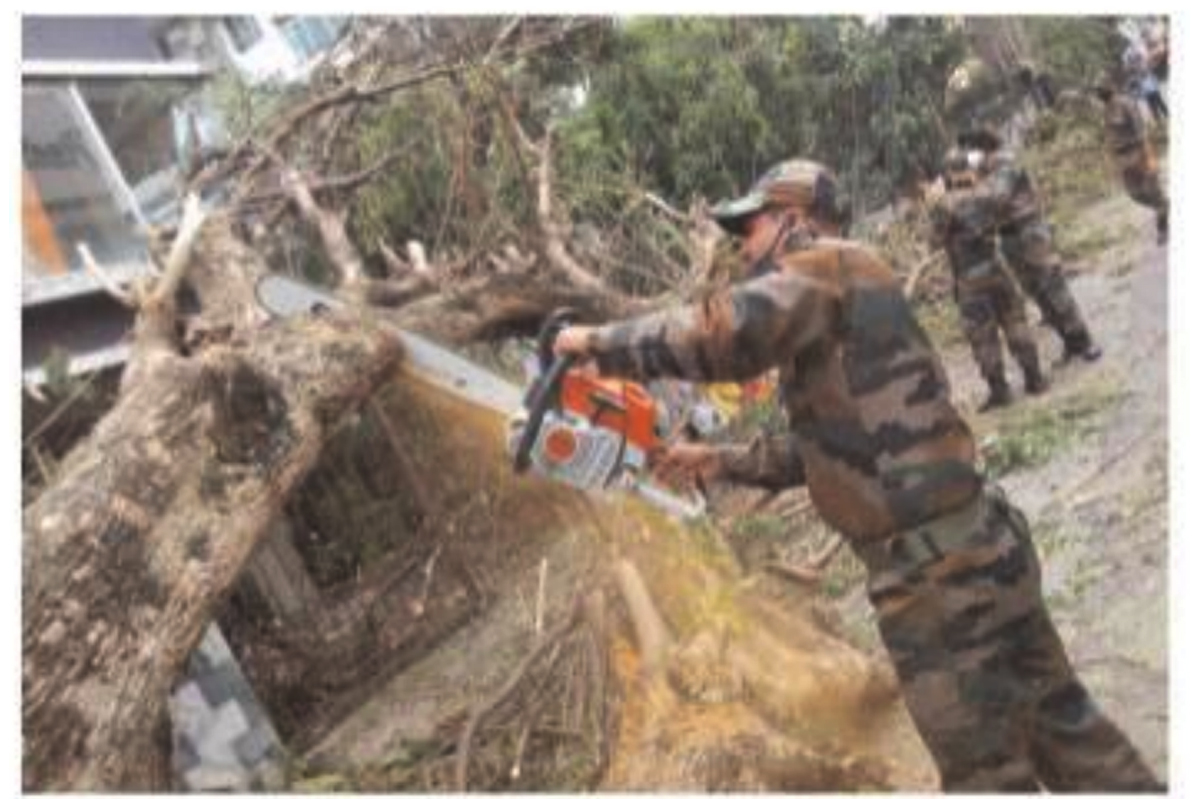 Over 7k trees cut down for Delhi-Dehradun expressway project
