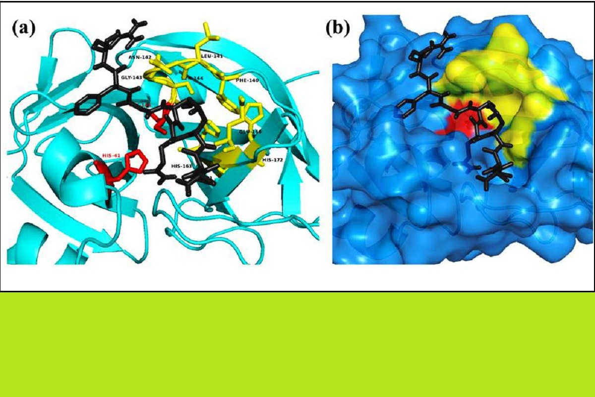 IIT Roorkee to conduct research for identifying antivirals to tackle COVID-19