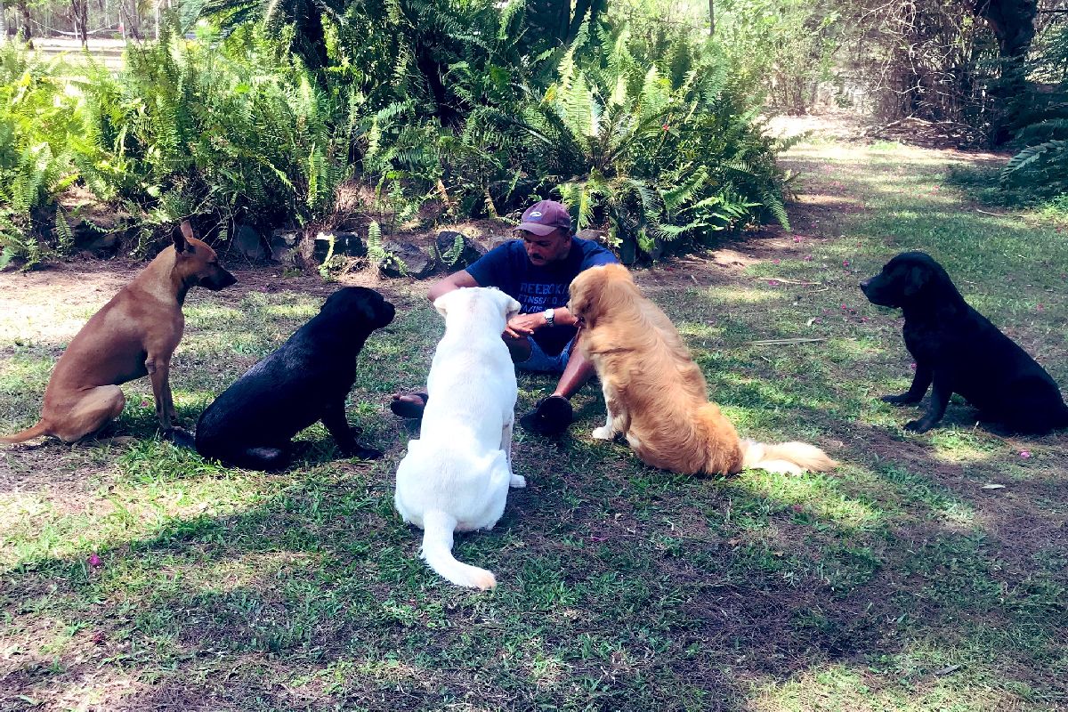 Ravi Shastri meets ‘ICC regulations’ in huddle with dogs