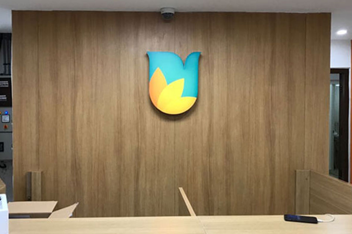 Ujjivan FinServ shares rally nearly 13 pc after Q4 earnings
