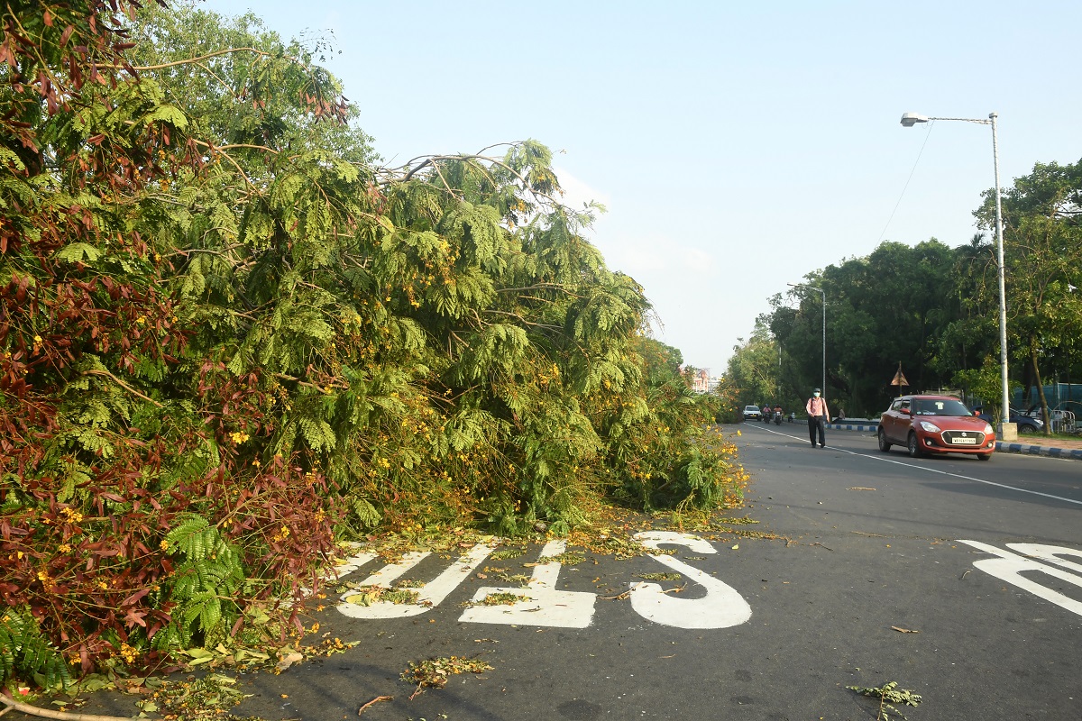 Cyclone Amphan: Death toll reaches 85 in West Bengal; Protest in Kolkata to restore normalcy