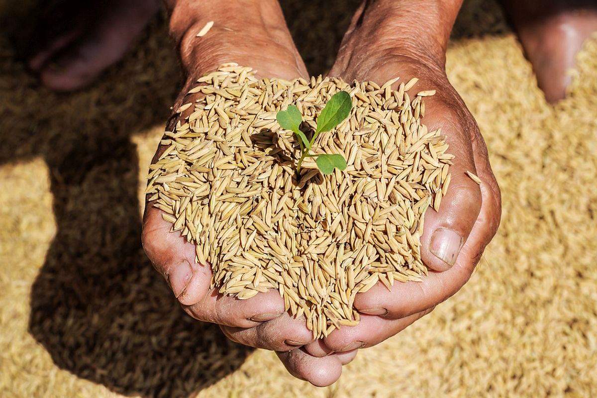 Narendra Singh Tomar launches integration of 177 new mandis with e-NAM