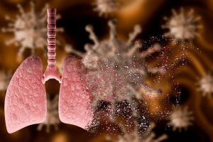 Lungs of dead Coronavirus patients show distinctive features: Study