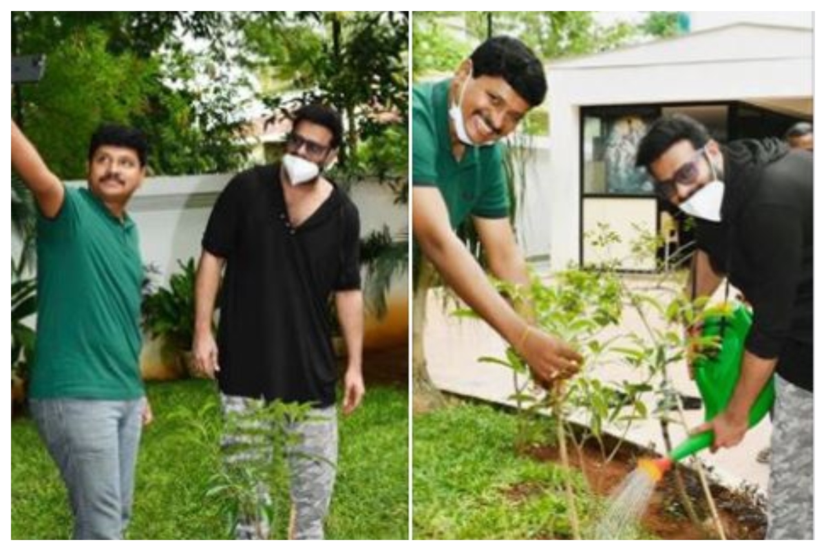 Prabhas joins Green India Challenge, plants saplings as part of campaign