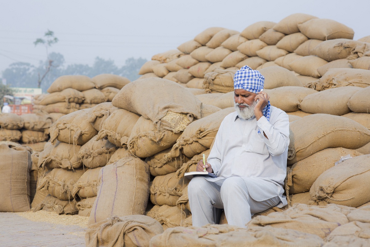 Punjab govt affidavit seeking paddy-like MSP for other crops sparks war of words