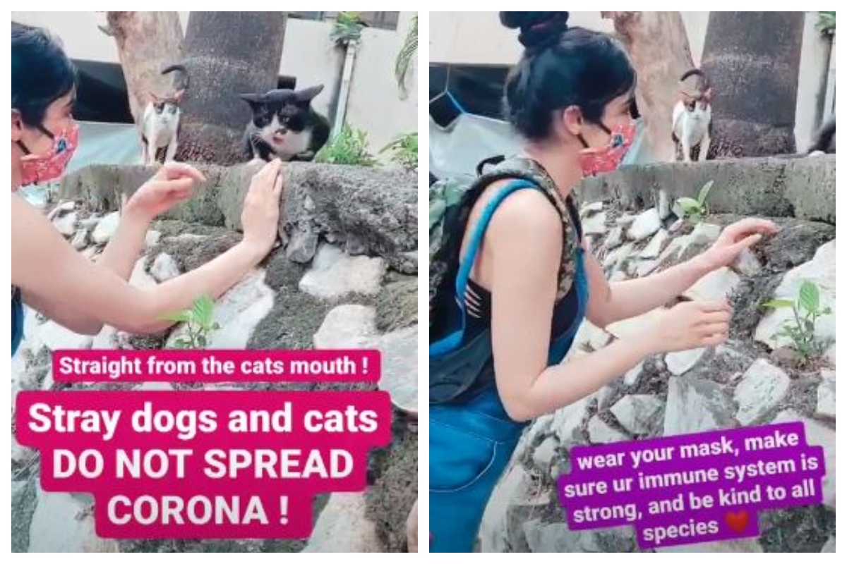 Adah Sharma’s important message while feeding stray animals