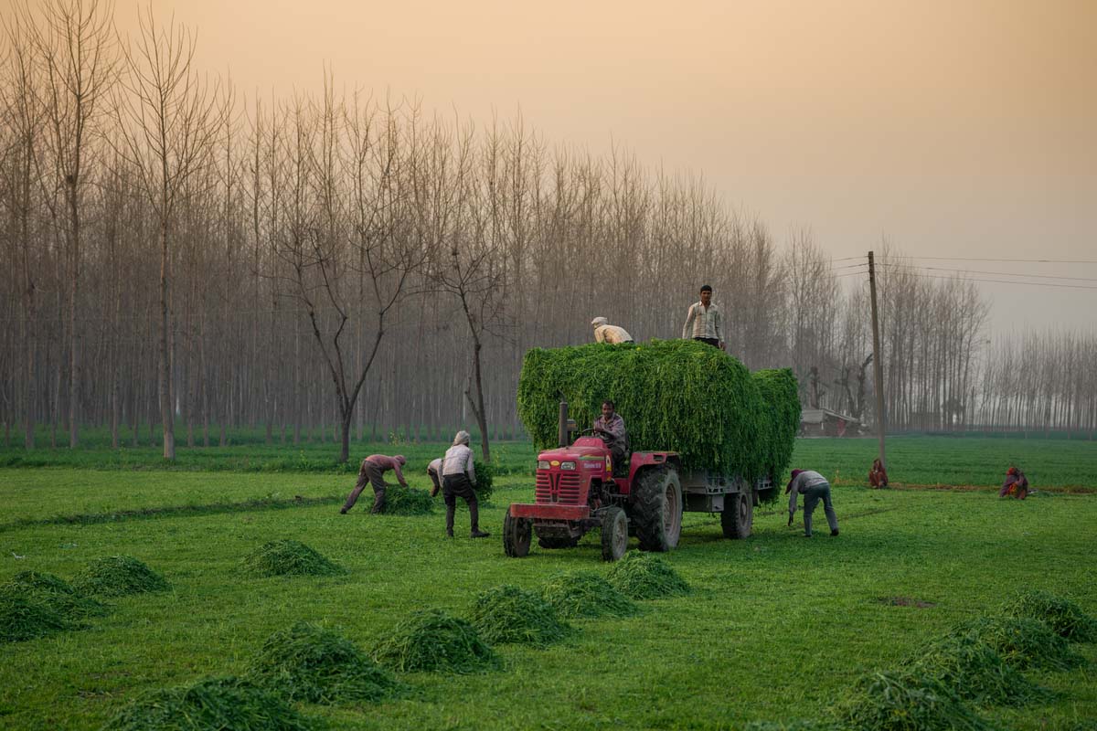 Let’s reduce farm imbalances