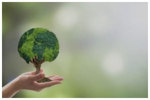 World Environment Day: 7 simple habits to make this planet a greener place