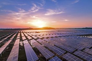 CMERI installs world’s largest solar tree at residential colony